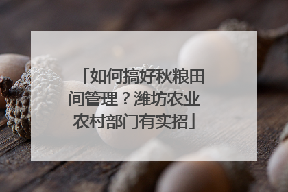 如何搞好秋粮田间管理？潍坊农业农村部门有实招