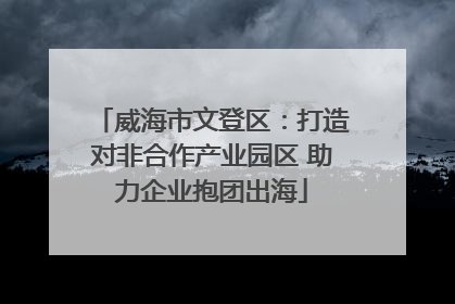 威海市文登区：打造对非合作产业园区 助力企业抱团出海
