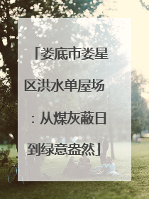 娄底市娄星区洪水单屋场：从煤灰蔽日到绿意盎然