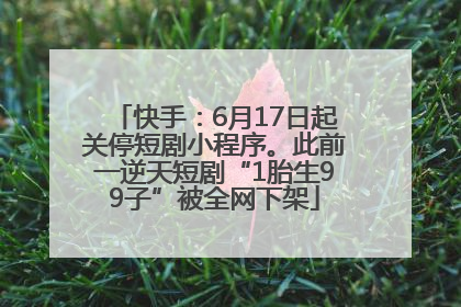 快手：6月17日起关停短剧小程序。此前一逆天短剧“1胎生99子”被全网下架