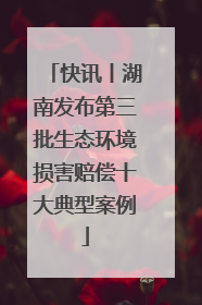 快讯丨湖南发布第三批生态环境损害赔偿十大典型案例