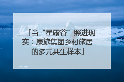 当“星露谷”照进现实：康旅集团乡村旅居的多元共生样本