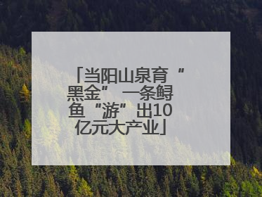当阳山泉育“黑金” 一条鲟鱼“游”出10亿元大产业
