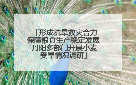 形成抗旱救灾合力 保障粮食生产稳定发展 丹阳多部门开展小麦受旱情况调研