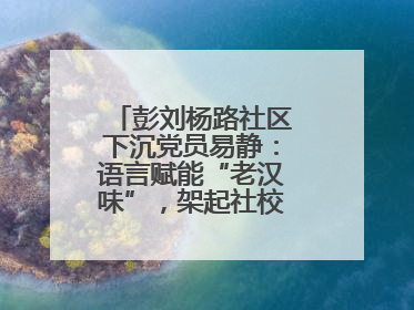 彭刘杨路社区下沉党员易静：语言赋能“老汉味”，架起社校“共建桥”