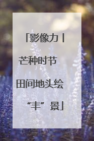 影像力丨芒种时节 田间地头绘“丰”景