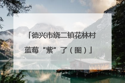 德兴市绕二镇花林村蓝莓“紫”了(图)