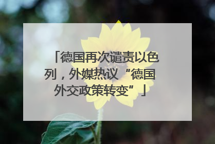 德国再次谴责以色列，外媒热议“德国外交政策转变”