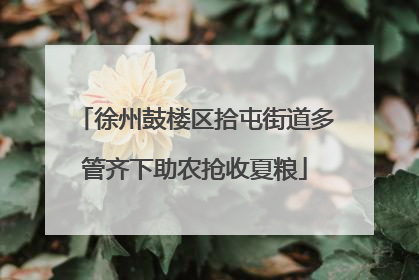 徐州鼓楼区拾屯街道多管齐下助农抢收夏粮