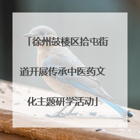 徐州鼓楼区拾屯街道开展传承中医药文化主题研学活动
