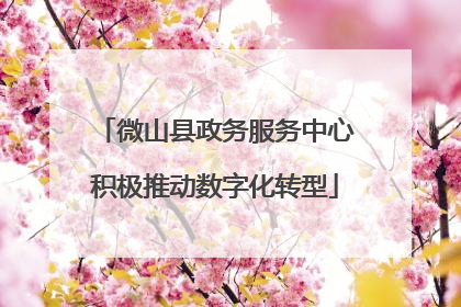 微山县政务服务中心积极推动数字化转型