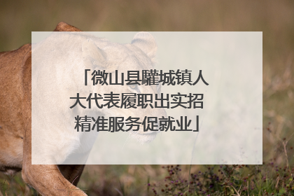 微山县驩城镇人大代表履职出实招精准服务促就业