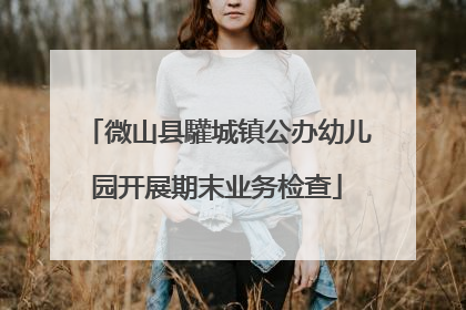 微山县驩城镇公办幼儿园开展期末业务检查