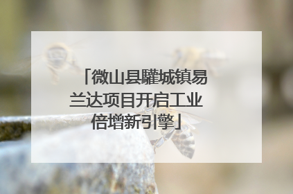 微山县驩城镇易兰达项目开启工业倍增新引擎