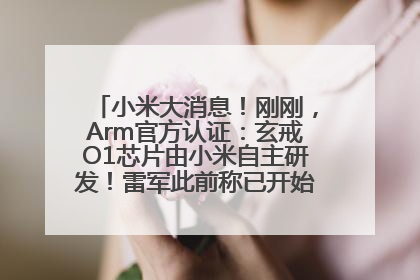 小米大消息！刚刚，Arm官方认证：玄戒O1芯片由小米自主研发！雷军此前称已开始大规模量产