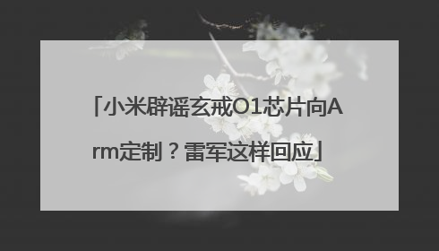 小米辟谣玄戒O1芯片向Arm定制？雷军这样回应