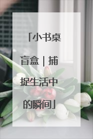 小书桌盲盒｜捕捉生活中的瞬间