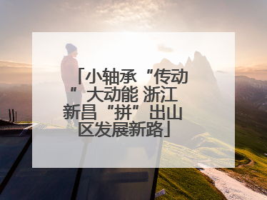小轴承“传动”大动能 浙江新昌“拼”出山区发展新路