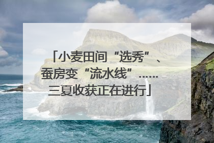 小麦田间“选秀”、蚕房变“流水线”……三夏收获正在进行