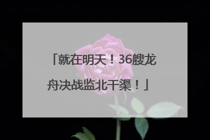 就在明天！36艘龙舟决战监北干渠！