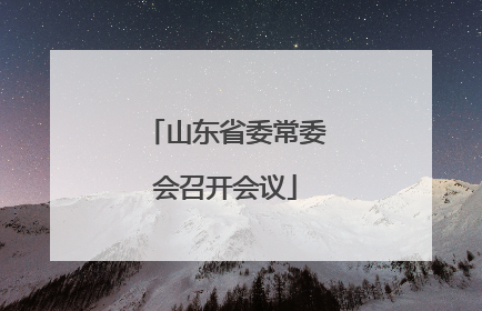山东省委常委会召开会议