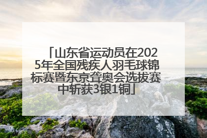山东省运动员在2025年全国残疾人羽毛球锦标赛暨东京聋奥会选拔赛中斩获3银1铜