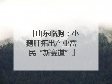 山东临朐：小鹅肝拓出产业富民“新赛道”