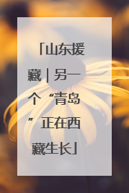山东援藏｜另一个“青岛”正在西藏生长