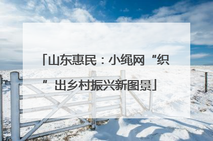 山东惠民：小绳网“织”出乡村振兴新图景