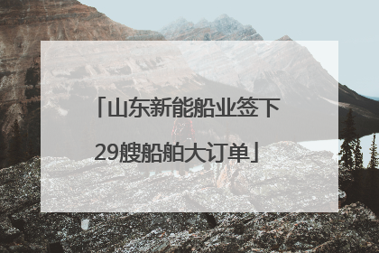 山东新能船业签下29艘船舶大订单