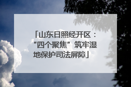山东日照经开区：“四个聚焦”筑牢湿地保护司法屏障