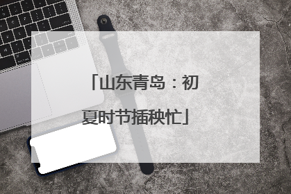 山东青岛：初夏时节插秧忙