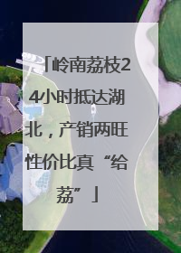 岭南荔枝24小时抵达湖北，产销两旺性价比真“给荔”