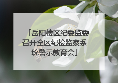 岳阳楼区纪委监委召开全区纪检监察系统警示教育会