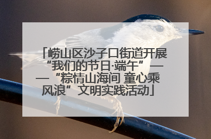 崂山区沙子口街道开展“我们的节日·端午”——“粽情山海间 童心乘风浪”文明实践活动