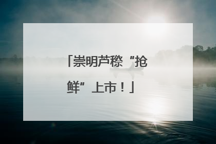 崇明芦穄“抢鲜”上市！