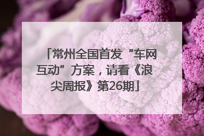 常州全国首发“车网互动”方案，请看《浪尖周报》第26期