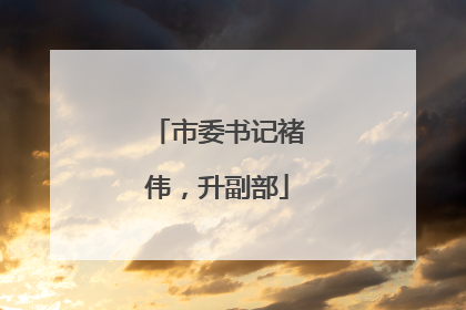 市委书记褚伟，升副部