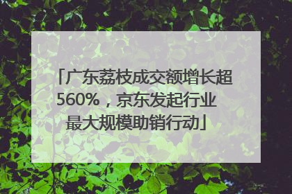 广东荔枝成交额增长超560%，京东发起行业最大规模助销行动