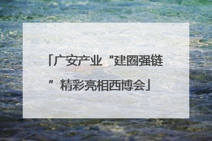 广安产业“建圈强链”精彩亮相西博会