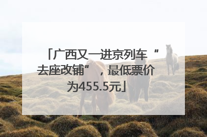 广西又一进京列车“去座改铺”，最低票价为455.5元