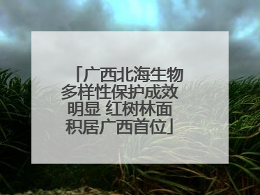 广西北海生物多样性保护成效明显 红树林面积居广西首位