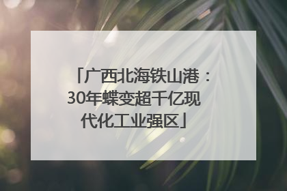 广西北海铁山港：30年蝶变超千亿现代化工业强区