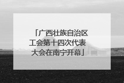 广西壮族自治区工会第十四次代表大会在南宁开幕