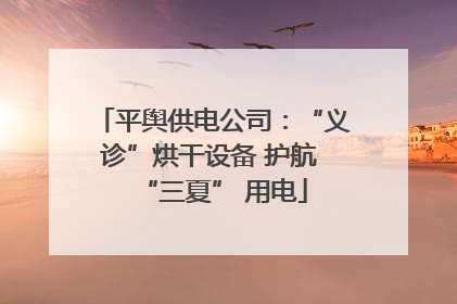 平舆供电公司：“义诊”烘干设备 护航 “三夏” 用电
