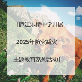 庐江乐桥中学开展2025年防灾减灾主题教育系列活动