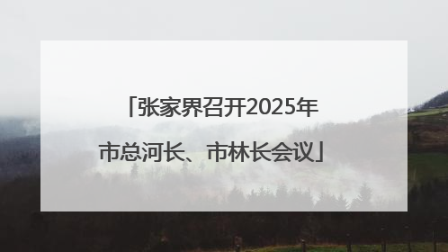 张家界召开2025年市总河长、市林长会议
