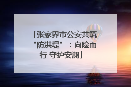 张家界市公安共筑“防洪堤”：向险而行 守护安澜
