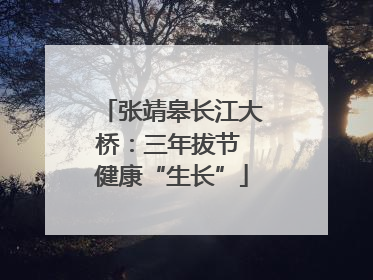 张靖皋长江大桥：三年拔节 健康“生长”