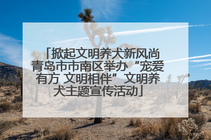 掀起文明养犬新风尚 青岛市市南区举办“宠爱有方 文明相伴”文明养犬主题宣传活动
